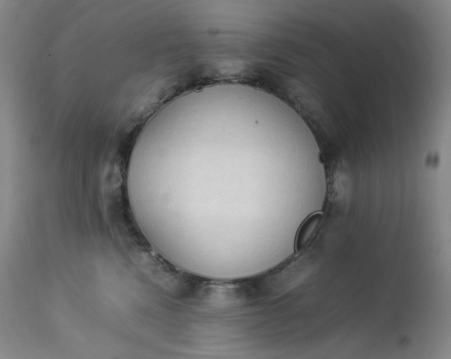 X0000112850472200909041533