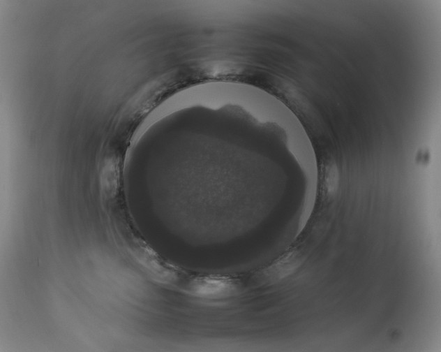 X0000112850475200909041533