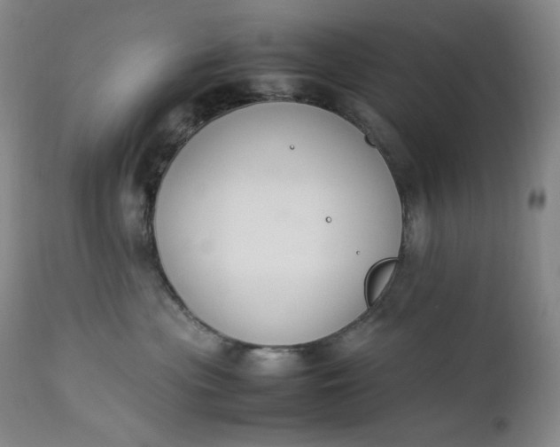 X0000112850477200909041534