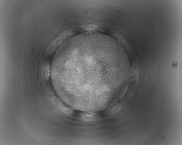 X0000112850479200909041534