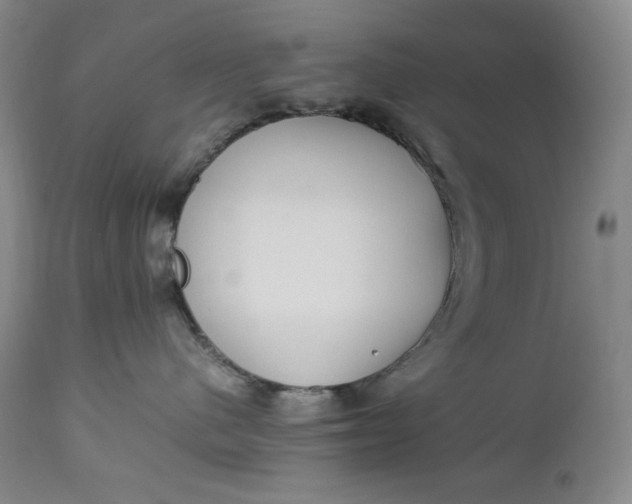 X0000112850480200909041534