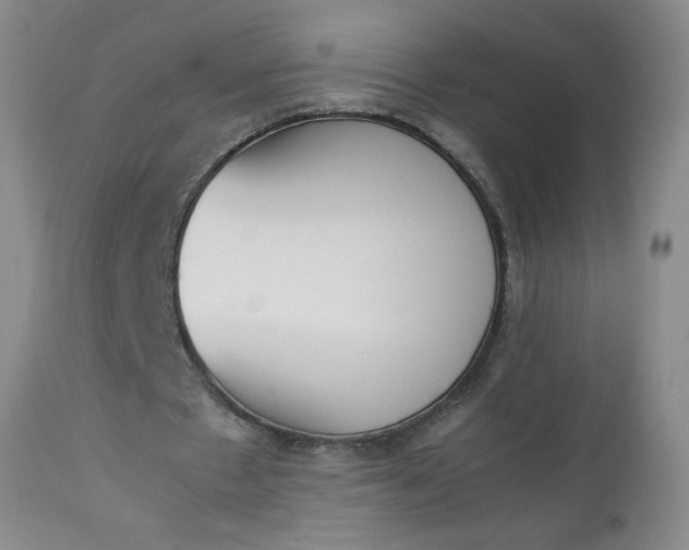 X0000112850481200909041533