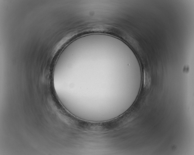 X0000112850483200909041533