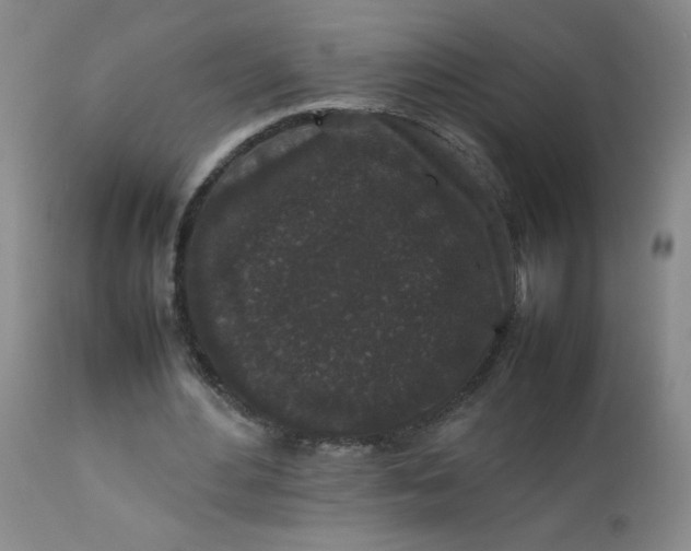 X0000112850484200909041533