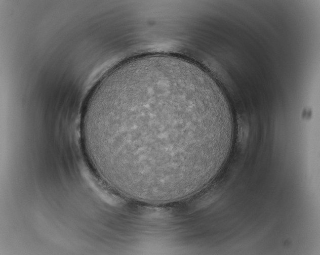 X0000112850486200909041533