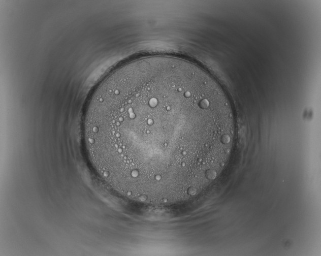 X0000112850487200909041533