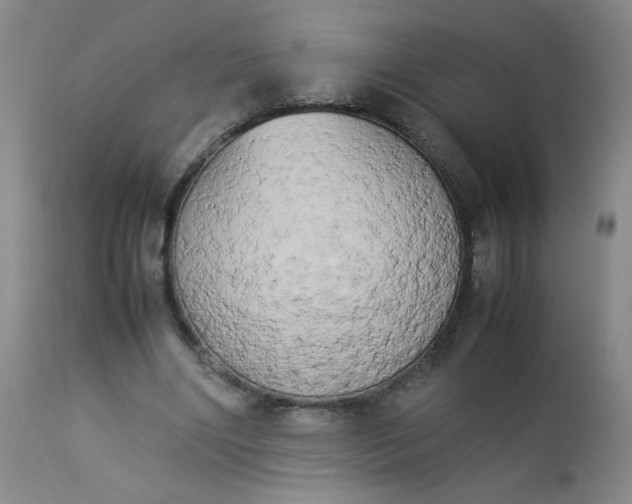 X0000112850490200909041533