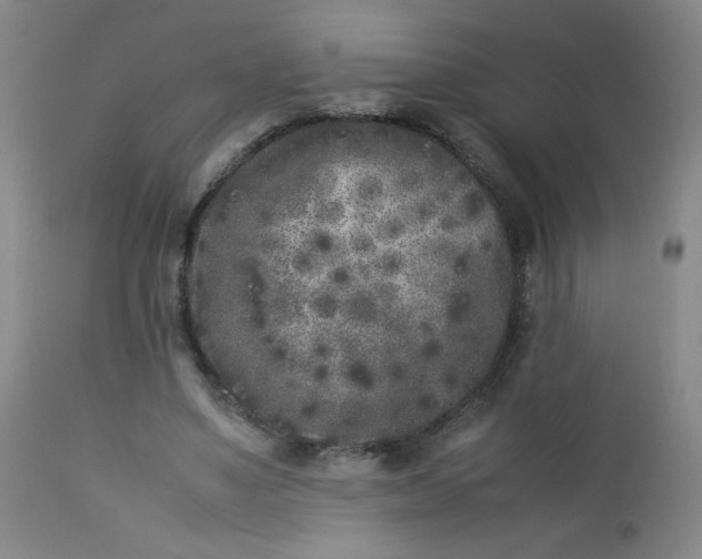 X0000112850491200909041533