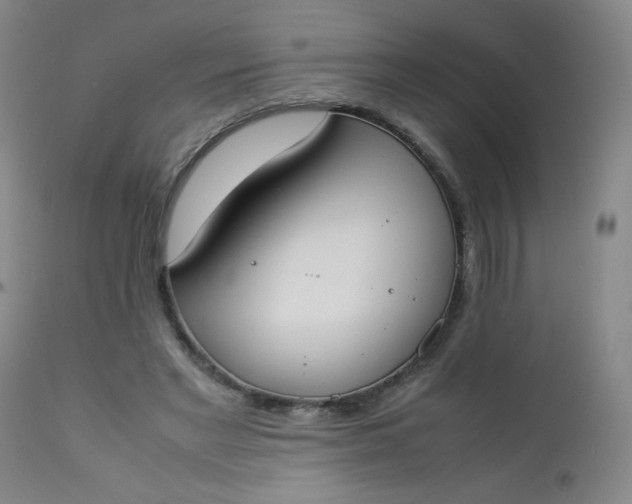 X0000112850493200909041533