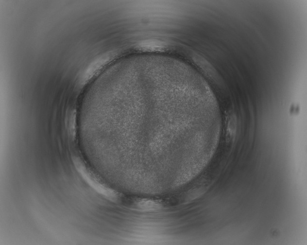 X0000112850494200909041533