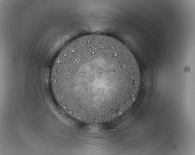 X0000112850495200909041533