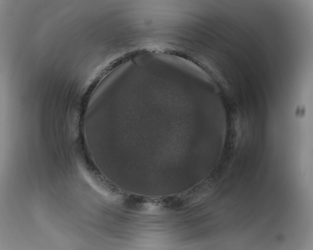 X0000112850496200909041533