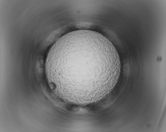 X0000112850498200909041533