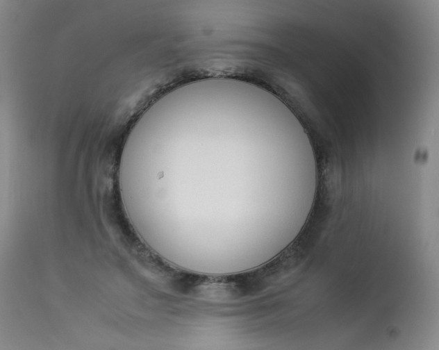 X0000112850499200909041532