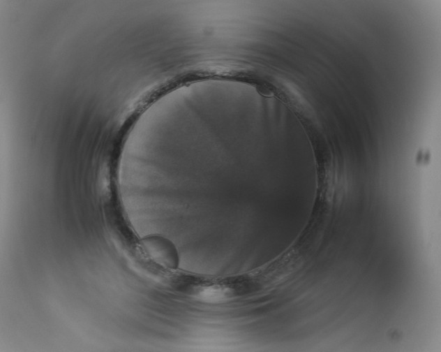 X0000112850500200909041532