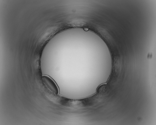 X0000112850501200909041532