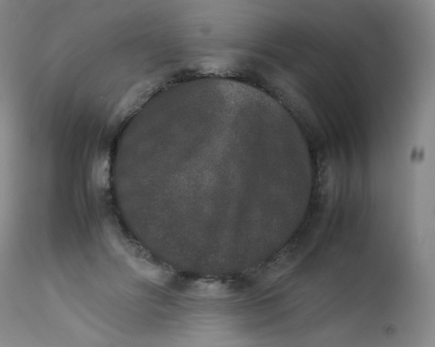 X0000112850502200909041532