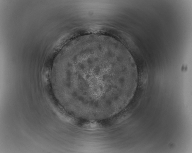 X0000112850503200909041532