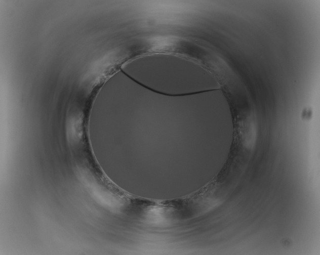 X0000112850504200909041532