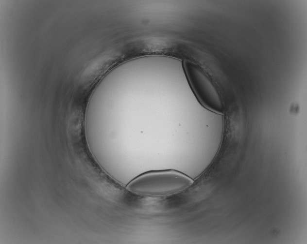 X0000112850505200909041532