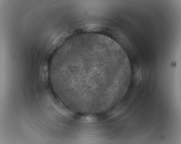 X0000112850506200909041532