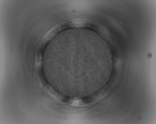 X0000112850507200909041532