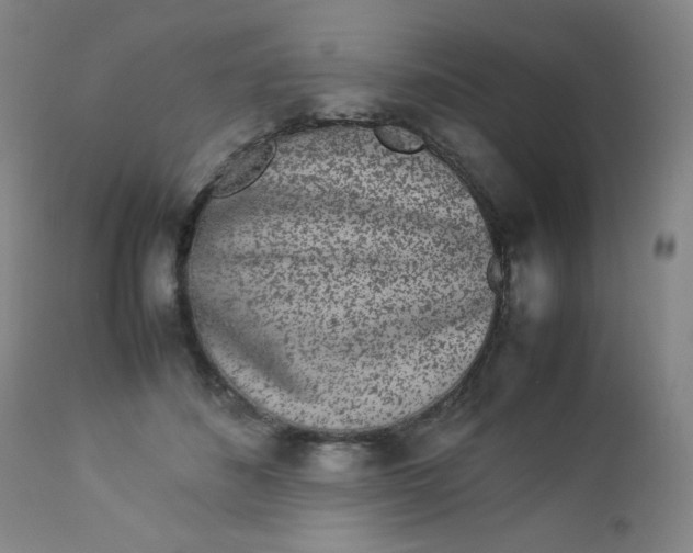 X0000112850508200909041532