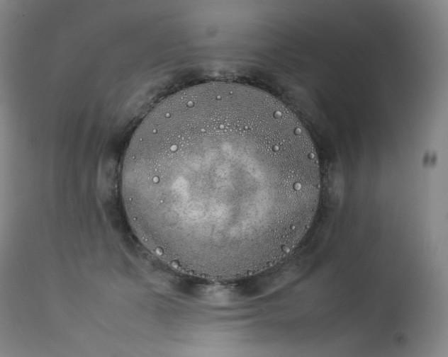 X0000112850511200909041532