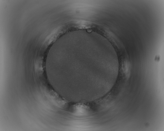 X0000112850512200909041532