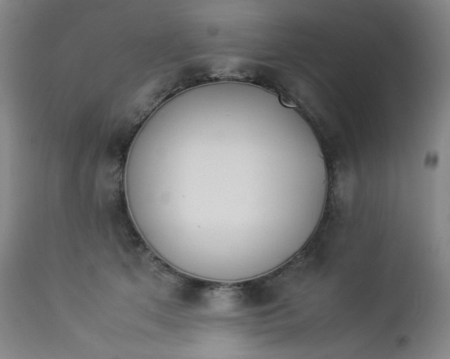 X0000112850513200909041532