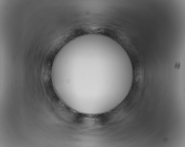 X0000112850515200909041532