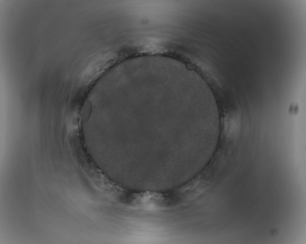 X0000112850517200909041532