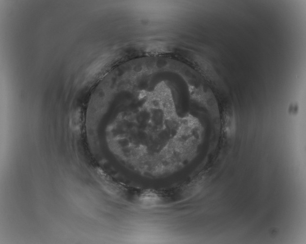 X0000112850519200909041532