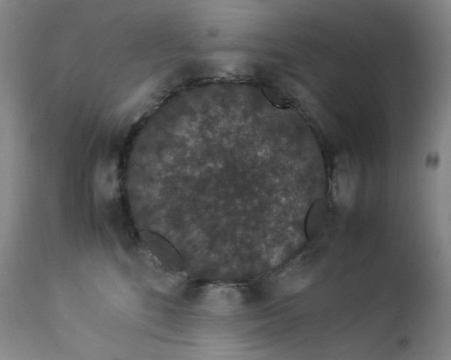 X0000112850520200909041532