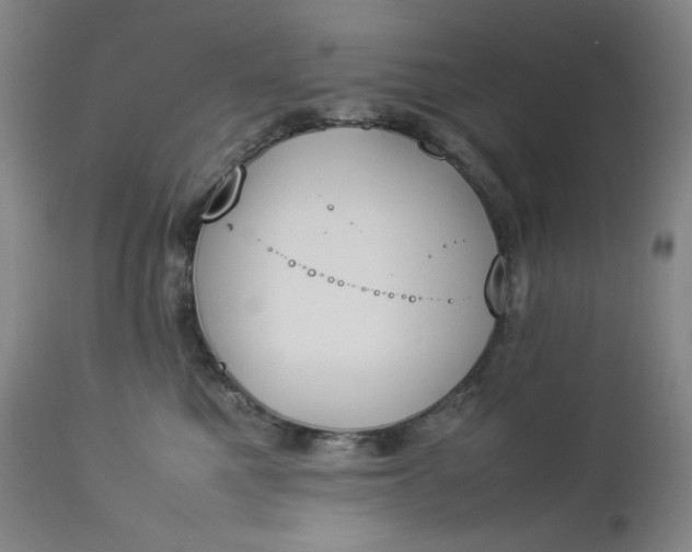 X0000112850521200909041532