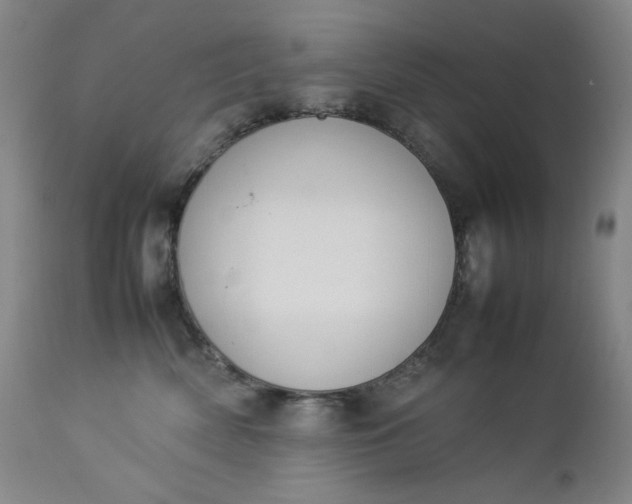 X0000112850522200909041532