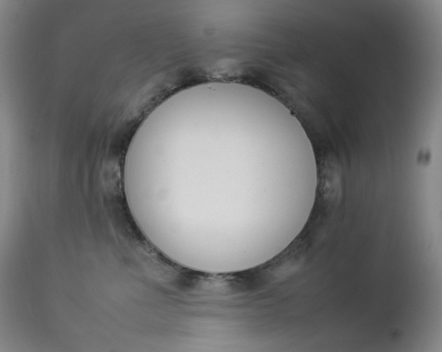 X0000112850523200909041532