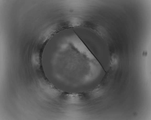 X0000112850524200909041532