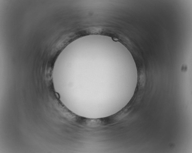 X0000112850525200909041532