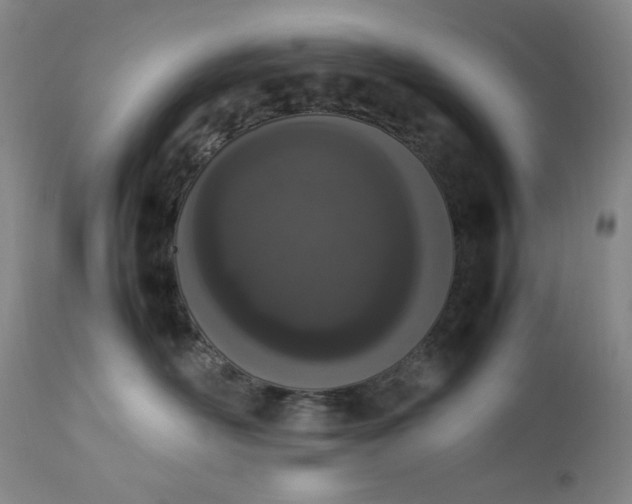 X0000112850526200909041532