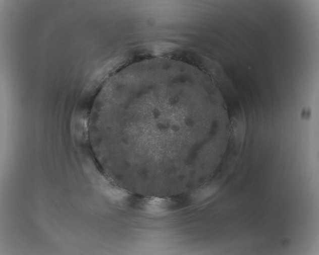 X0000112850527200909041532