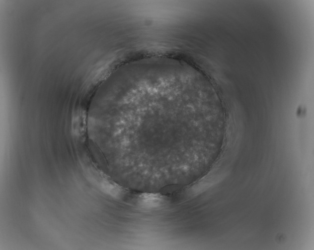 X0000112850528200909041532