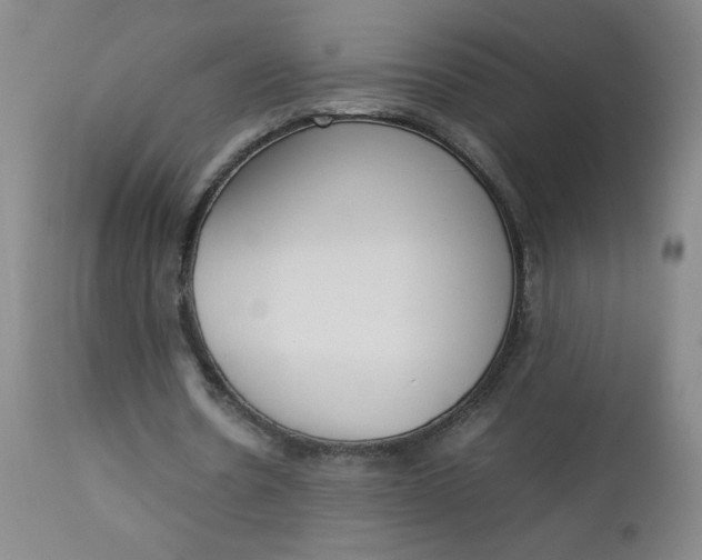 X0000112850530200909041531