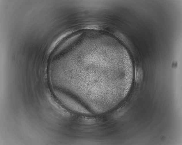 X0000112850531200909041531