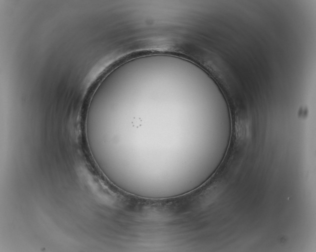 X0000112850532200909041531