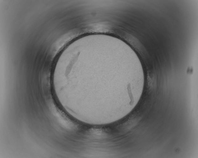 X0000112850534200909041532