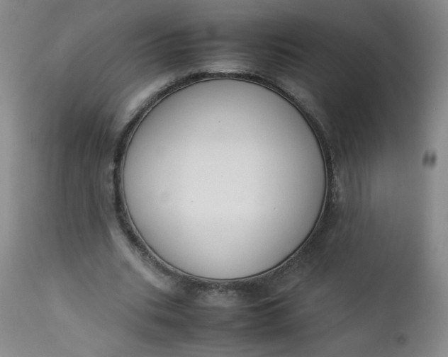 X0000112850535200909041532