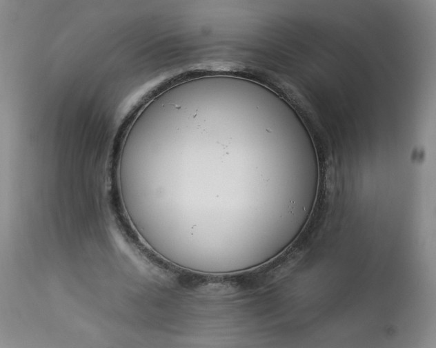 X0000112850536200909041532