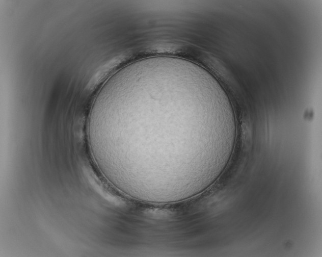 X0000112850537200909041532