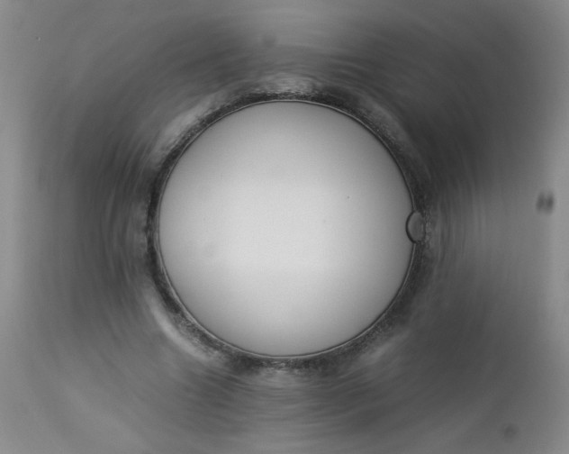 X0000112850538200909041532